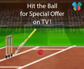 Cricket Gamification