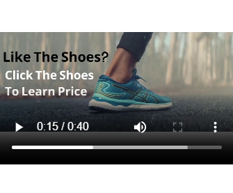 Interactive Video